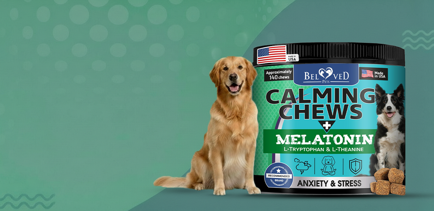 slider image slider_item_PAgWek